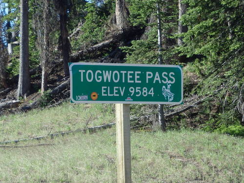GDMBR:  Togwotee Pass (9584'/2921m).